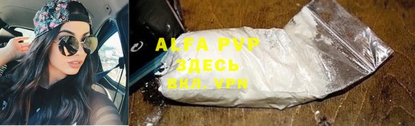 прущие грибы Лиски